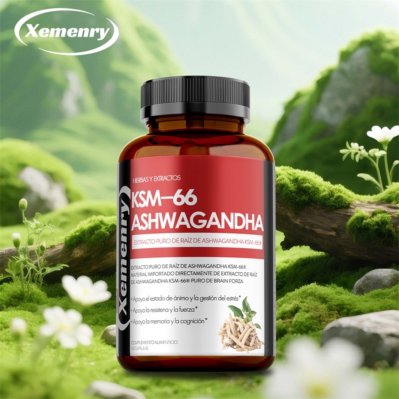 Ashwagandha Extract Root - KSM 66 Ashwagandha-Wurzelextrakt-Kapseln – verbessert die