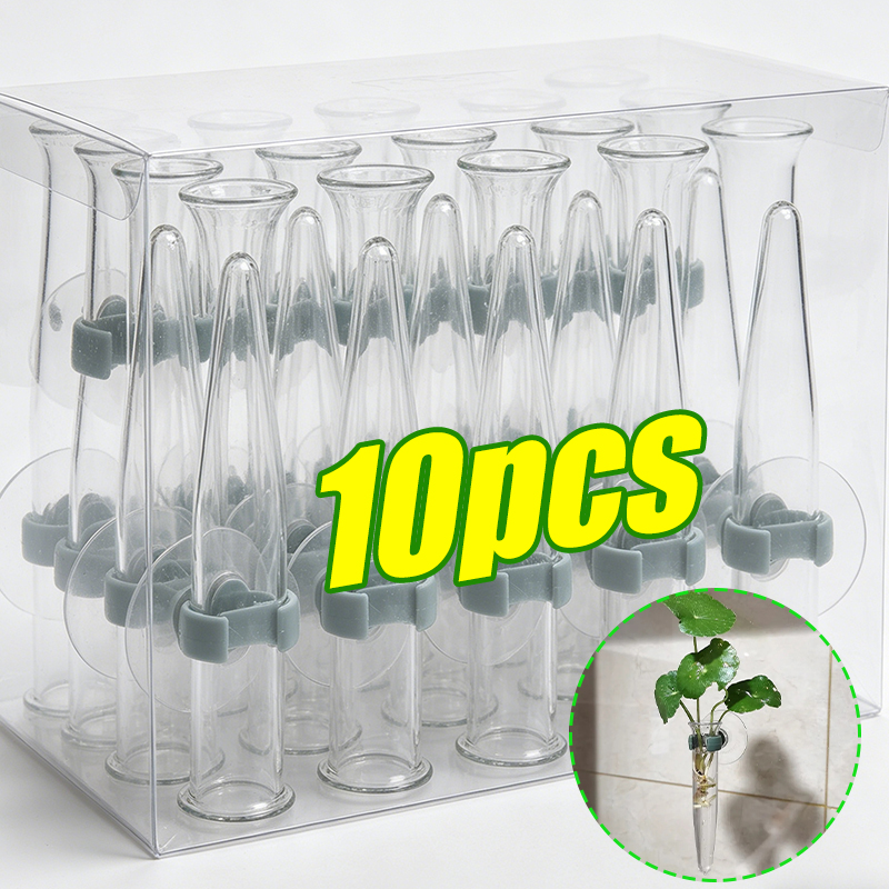 11cm Blumen-Wasserröhrchen Kun – Nutrition & Fitness Class Bewertung und Preis