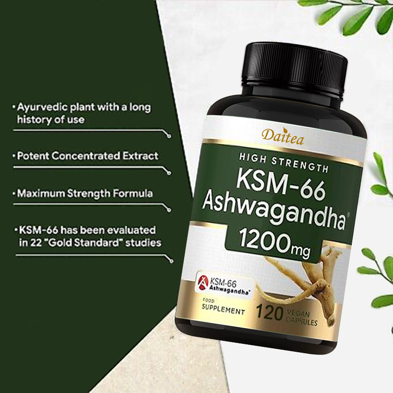 Ashwagandha-Extrakt-Kapseln –  – Ashwagandha Extract Root Bewertung und Preis