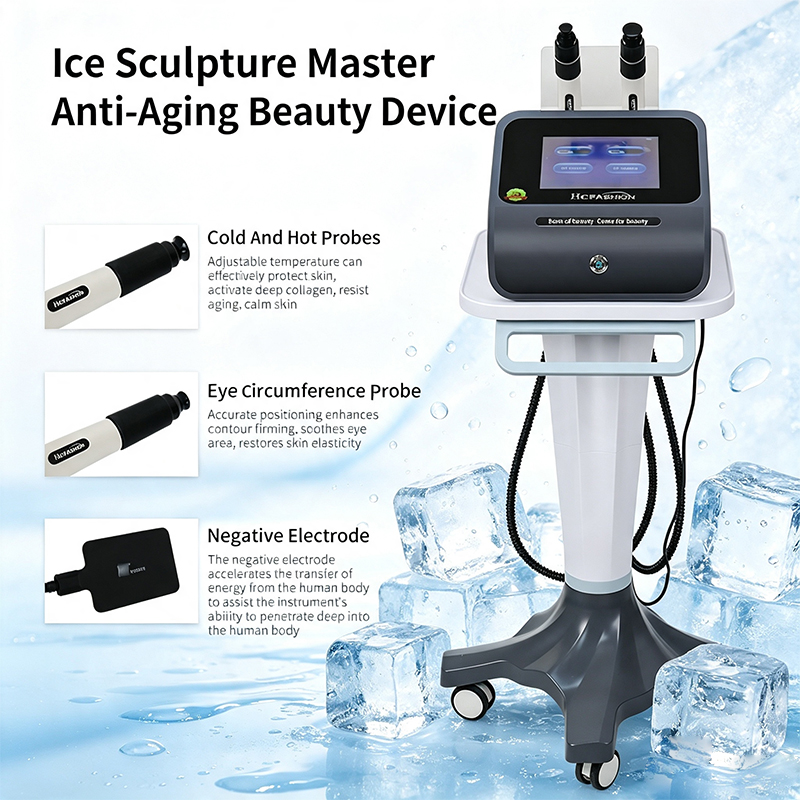 Ice Sculpture Master RF Gesich – Master Nutrition & Fitness Club Kuchaman City Reviews Bewertung und Preis