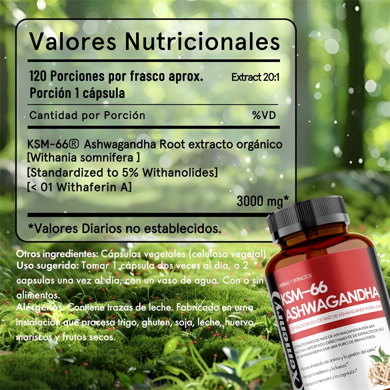 KSM 66 Ashwagandha-Wurzelextra – Ashwagandha Extract Root Bewertung und Preis
