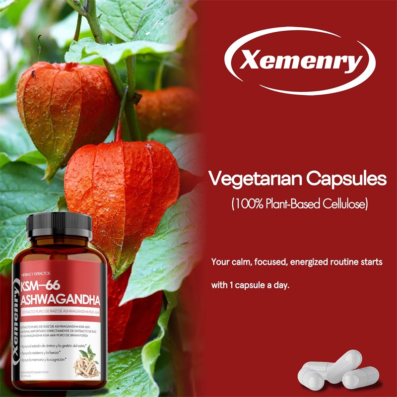 KSM 66 Ashwagandha-Wurzelextra – Ashwagandha Extract Root Bewertung und Preis
