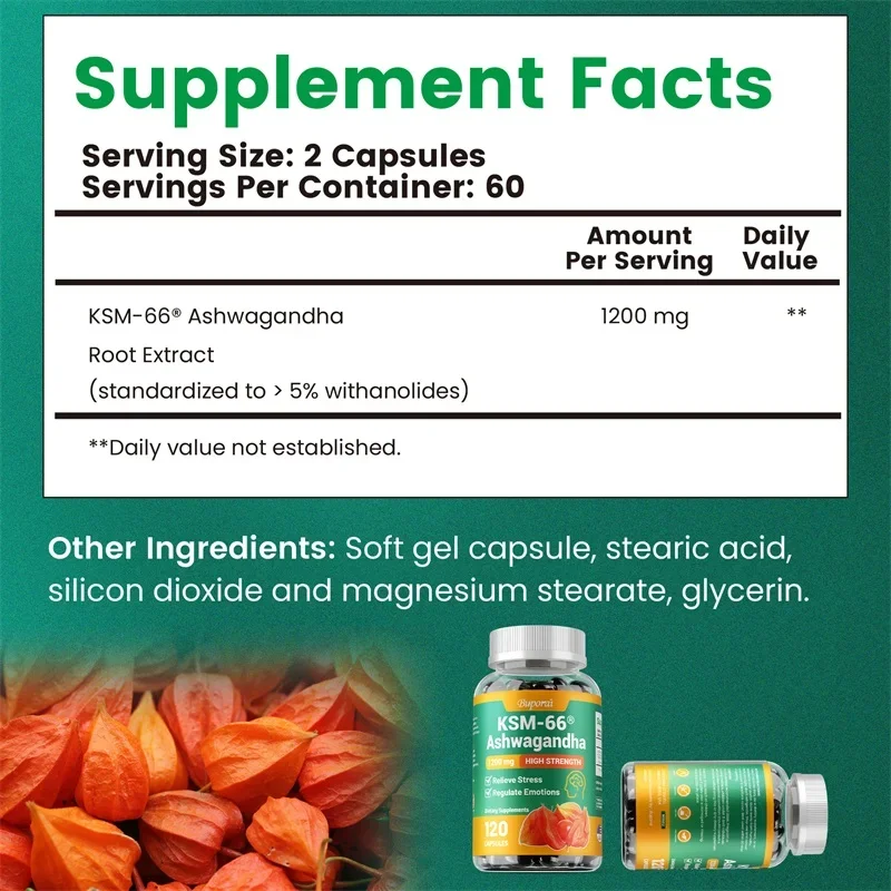 KSM-66 Ashwagandha 1200 mg veg – Ashwagandha Extract Root Bewertung und Preis
