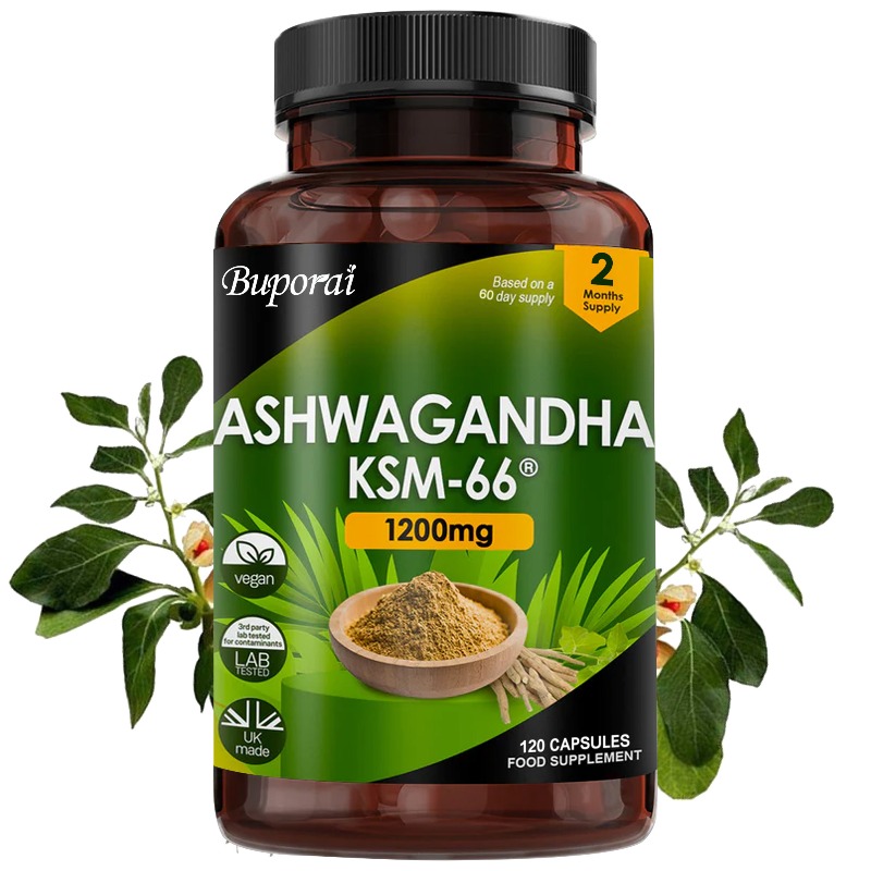 Organischer KSM-66 Ashwagandha – Ashwagandha Extract Root Bewertung und Preis
